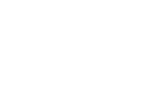 Multilaser Services